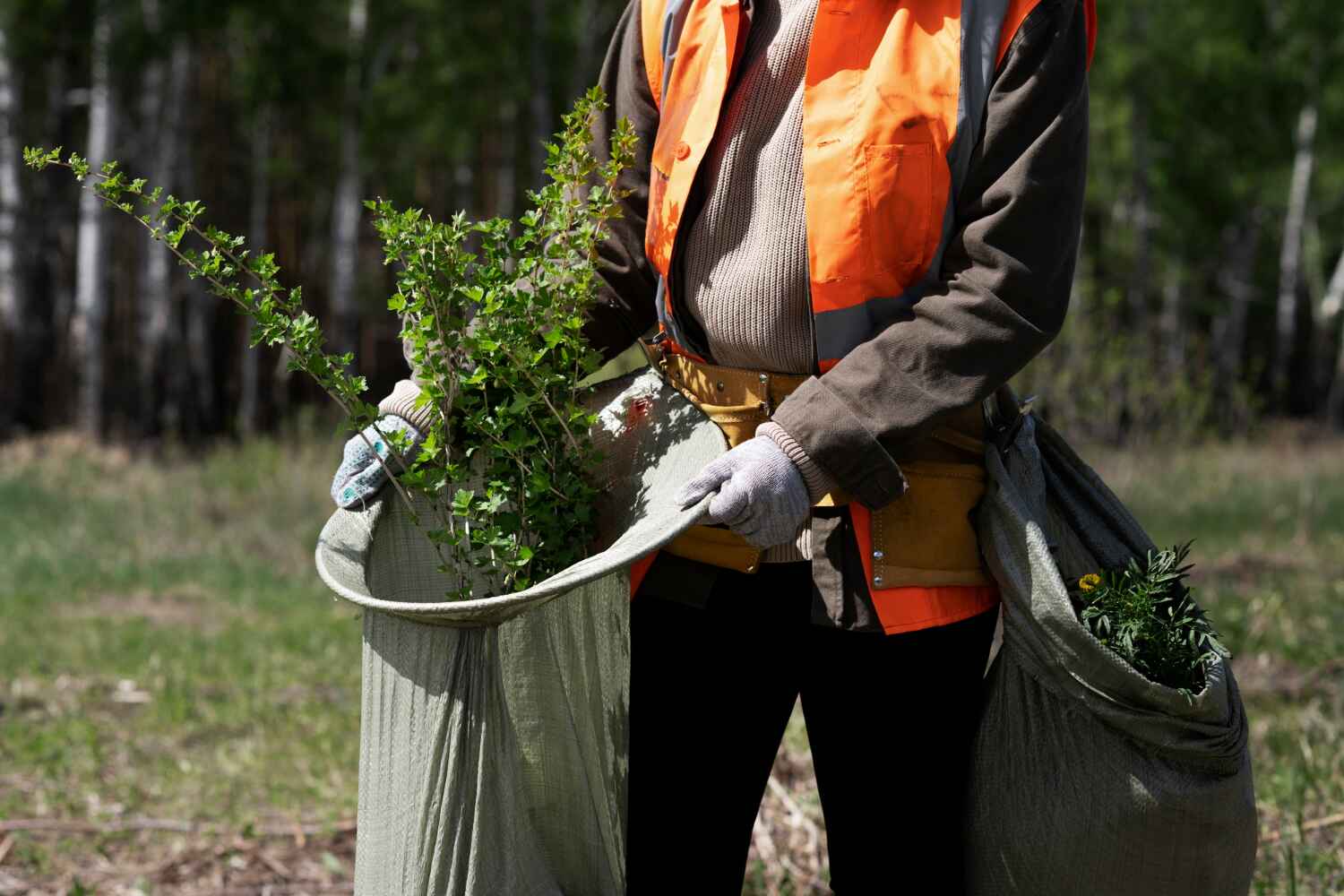 Best Tree Removal for Businesses  in USA